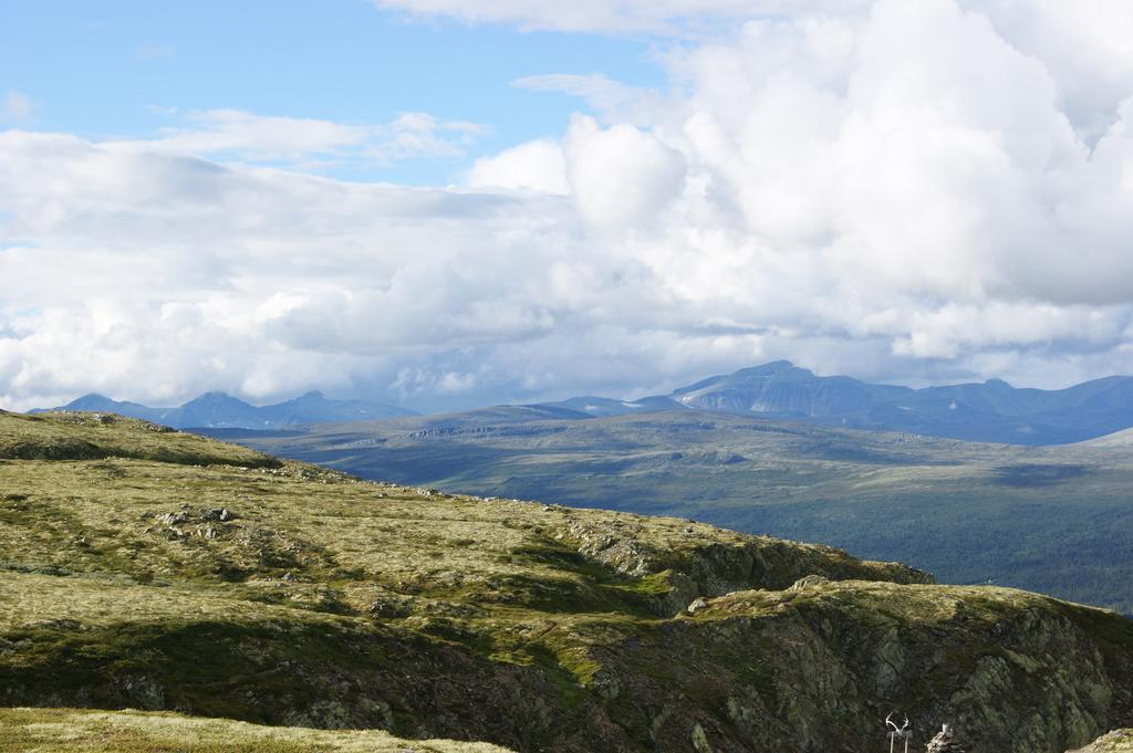 Апартаменты Sulseter Fjellstugu Винстра Экстерьер фото