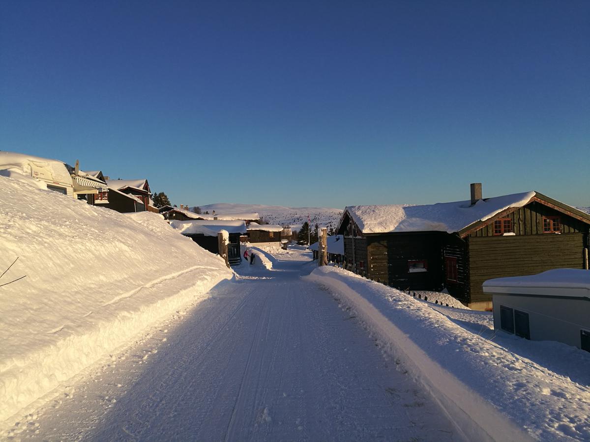 Апартаменты Sulseter Fjellstugu Винстра Экстерьер фото