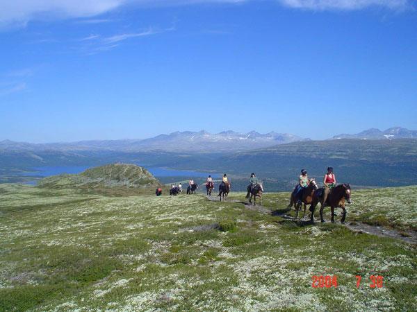 Апартаменты Sulseter Fjellstugu Винстра Экстерьер фото